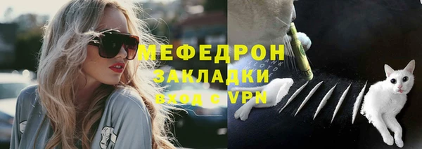 твердый Дмитровск