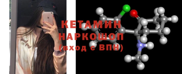 хмурый Гусь-Хрустальный