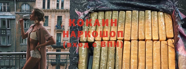 хмурый Гусь-Хрустальный