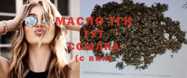 твердый Дмитровск