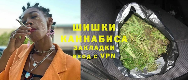 твердый Дмитриев