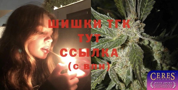 твердый Дмитриев