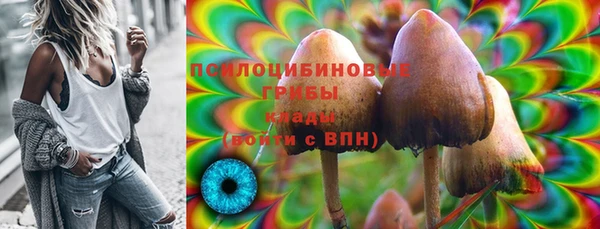 твердый Дмитриев