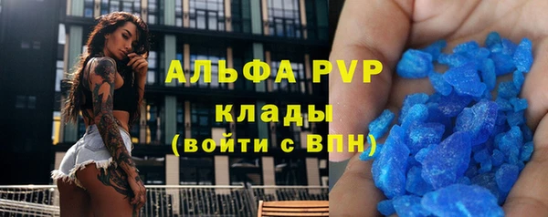 твердый Дмитровск