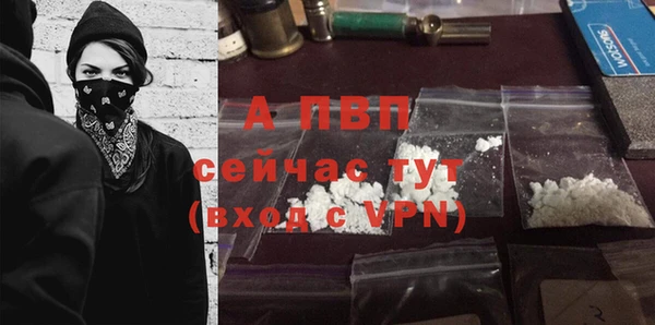 твердый Дмитровск